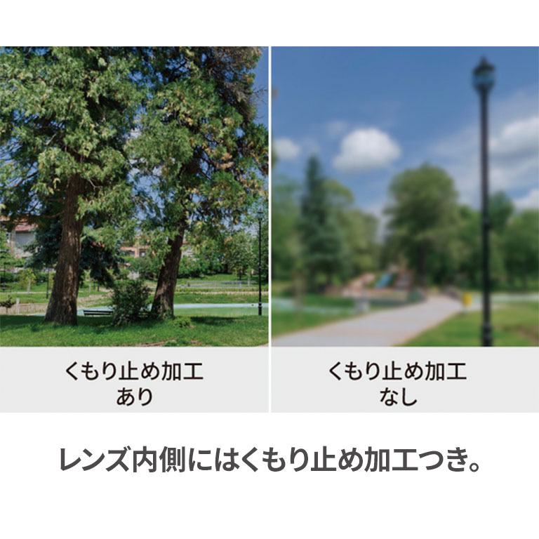 アシストグラス GGF-T30384