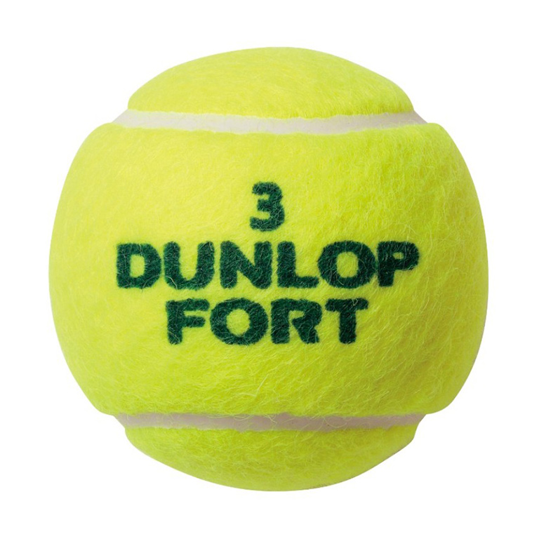 DUNLOP FORT ダンロップ フォート 2球入缶 | ダンロップスポーツ公式 