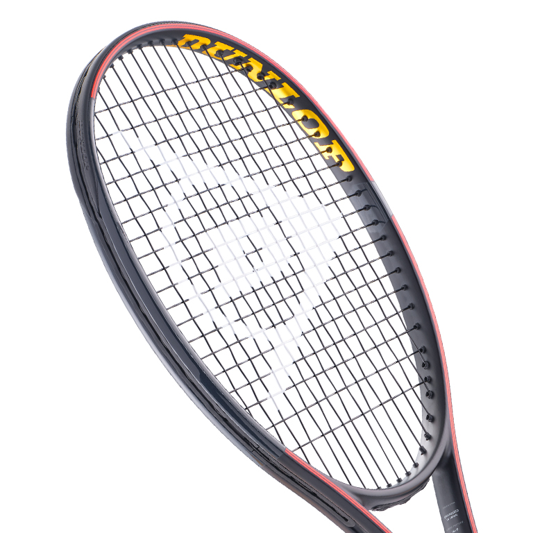 【ご予約受付中】ダンロップ 25CX 400 ツアー ブラック DUNLOP CX 400 TOUR BLACK 限定モデル DS22508