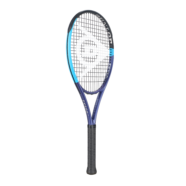ダンロップ 26FX 500 LS DUNLOP FX 500 LS DS22602
