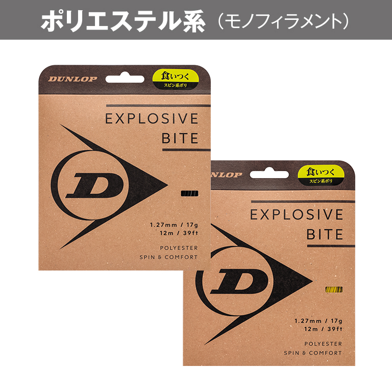 エクスプロッシブ・バイト EXPLOSIVE BITE DST11011