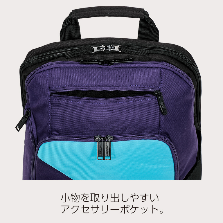 リミテッドパック　01 2パックセット ZEST2 | Brief Case L B4/15.6