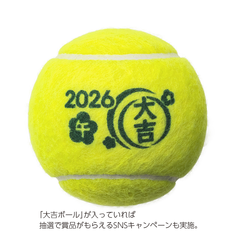 2026年 FORT 干支ボール3本入り特別セット (オンラインストア限定