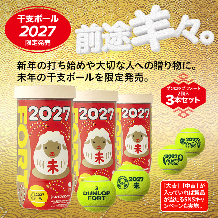 テニス | ダンロップスポーツ公式オンラインストア