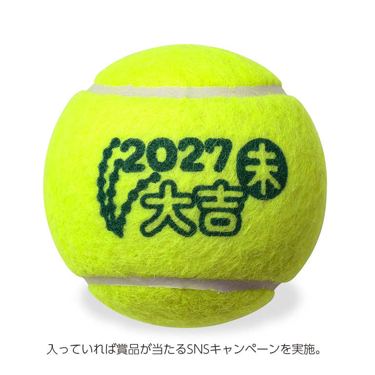 2027年 FORT 干支ボール3本入り特別セット (オンラインストア限定