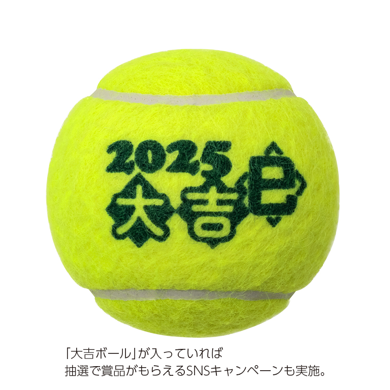 【11/1 10時予約スタート】2025年 FORT 干支ボール 3缶特別セット (オンラインストア限定)