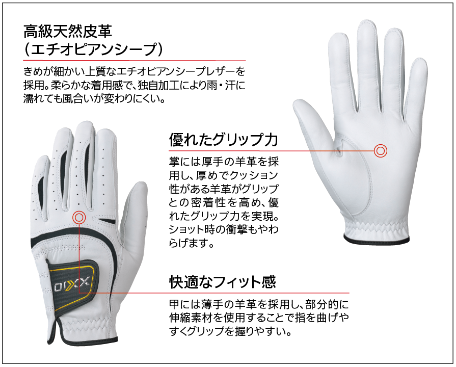  Dunlop XXIO( XXIO ) glove GGG-X0192023 year autumn winter new product lDUNLOP GOLF SHOP|04