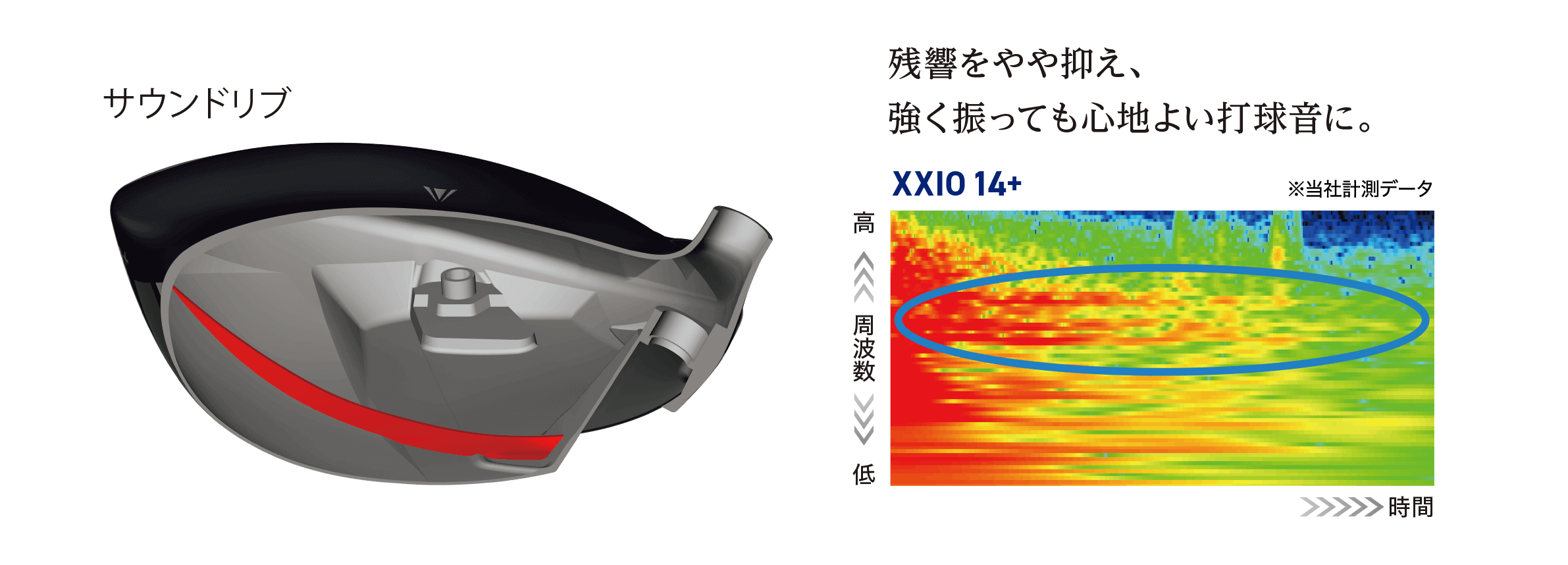 11/22発売】ゼクシオ 14＋ ドライバー SPEEDER NX GOLD 50