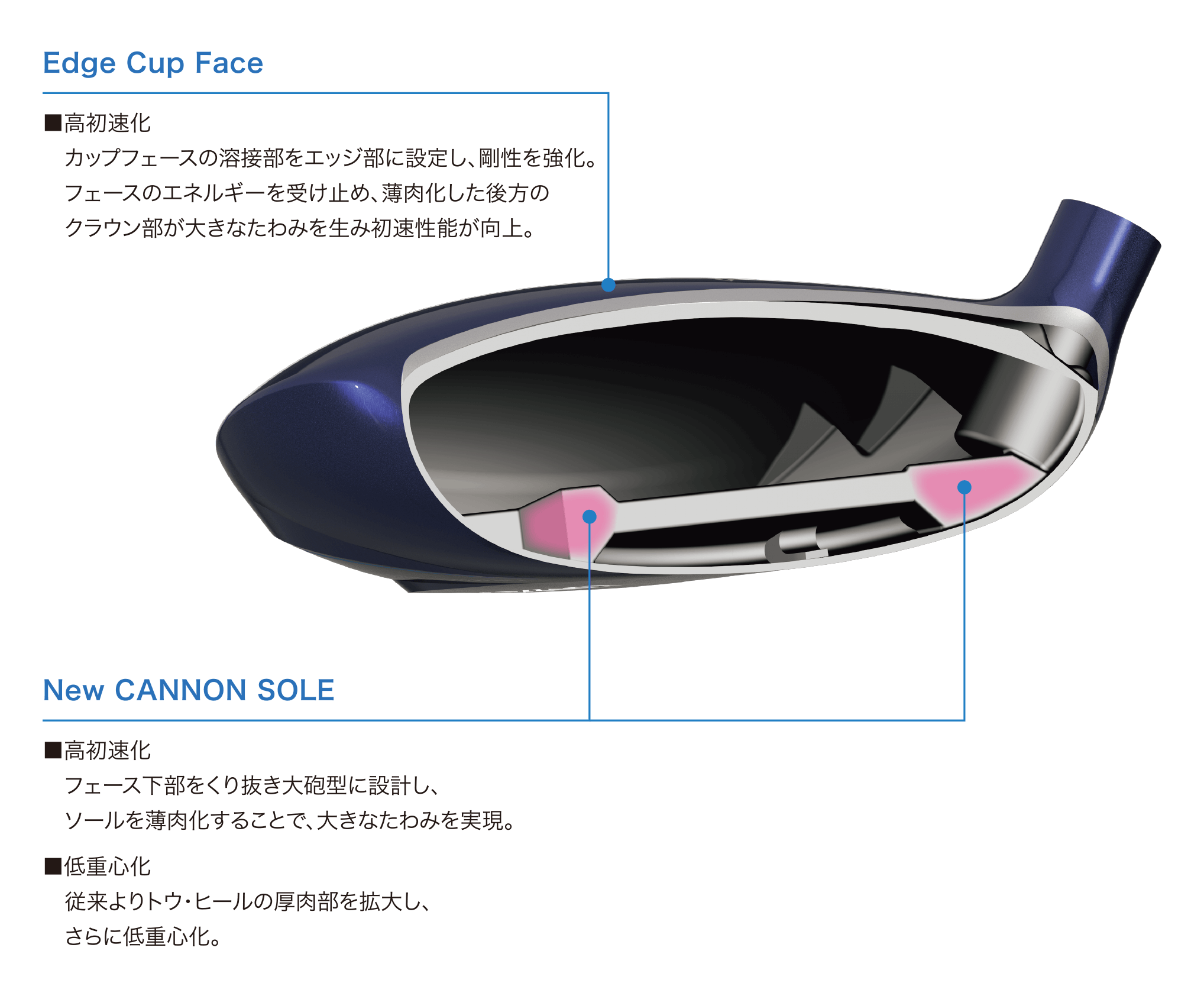 12/6発売】ゼクシオ 14 レディス フェアウェイウッド ブルー SPEEDER